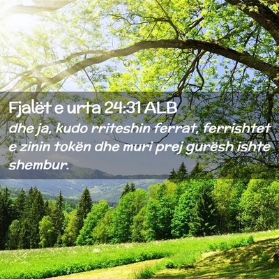 Picture 02 - Fjalët e urta 24:31 ALB - dhe ja, kudo rriteshin ferrat, ferrishtet e zinin - Bible Verse Picture