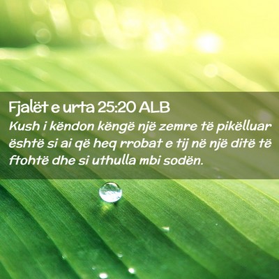 Picture 02 - Fjalët e urta 25:20 ALB - Kush i këndon këngë një zemre të pikëlluar - Bible Verse Picture