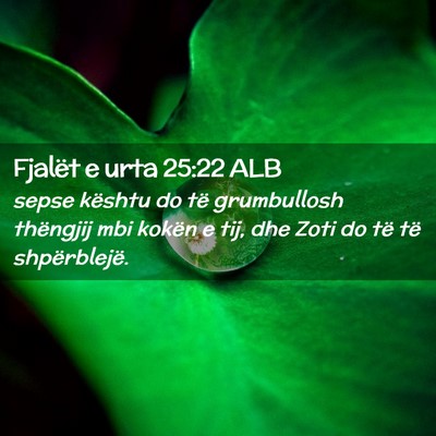 Picture 02 - Fjalët e urta 25:22 ALB - sepse kështu do të grumbullosh thëngjij mbi - Bible Verse Picture
