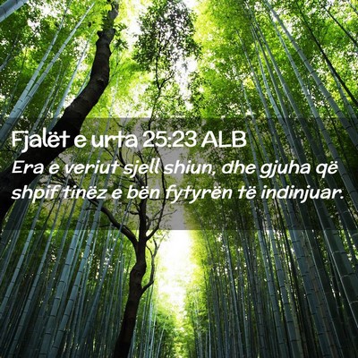 Picture 02 - Fjalët e urta 25:23 ALB - Era e veriut sjell shiun, dhe gjuha që shpif - Bible Verse Picture