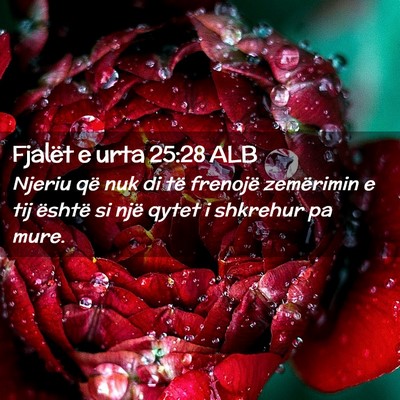 Picture 02 - Fjalët e urta 25:28 ALB - Njeriu që nuk di të frenojë zemërimin e tij - Bible Verse Picture