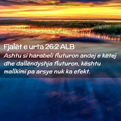 Picture 02 - Fjalët e urta 26:2 ALB - Ashtu si harabeli fluturon andej e këtej dhe - Bible Verse Picture