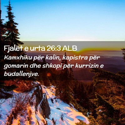 Picture 02 - Fjalët e urta 26:3 ALB - Kamxhiku për kalin, kapistra për gomarin dhe - Bible Verse Picture