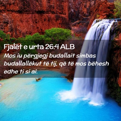 Picture 02 - Fjalët e urta 26:4 ALB - Mos iu përgjegj budallait simbas budallallëkut - Bible Verse Picture