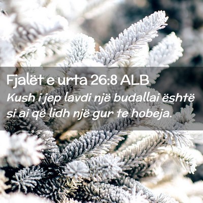Picture 02 - Fjalët e urta 26:8 ALB - Kush i jep lavdi një budallai është si ai që - Bible Verse Picture