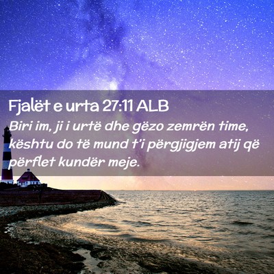 Picture 02 - Fjalët e urta 27:11 ALB - Biri im, ji i urtë dhe gëzo zemrën time, - Bible Verse Picture