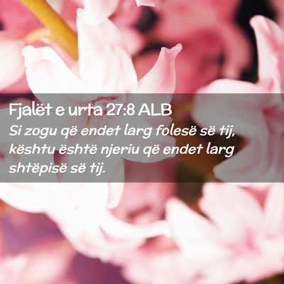 Picture 02 - Fjalët e urta 27:8 ALB - Si zogu që endet larg folesë së tij, kështu - Bible Verse Picture