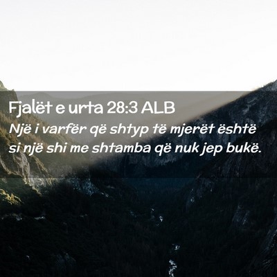 Picture 02 - Fjalët e urta 28:3 ALB - Një i varfër që shtyp të mjerët është si - Bible Verse Picture