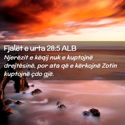Picture 02 - Fjalët e urta 28:5 ALB - Njerëzit e këqij nuk e kuptojnë drejtësinë, - Bible Verse Picture