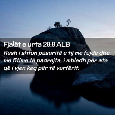 Picture 02 - Fjalët e urta 28:8 ALB - Kush i shton pasuritë e tij me fajde dhe me - Bible Verse Picture