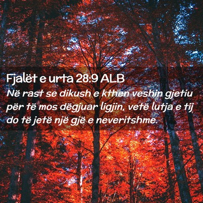 Picture 02 - Fjalët e urta 28:9 ALB - Në rast se dikush e kthen veshin gjetiu për të - Bible Verse Picture