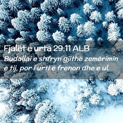 Picture 02 - Fjalët e urta 29:11 ALB - Budallai e shfryn gjithë zemërimin e tij, por i - Bible Verse Picture