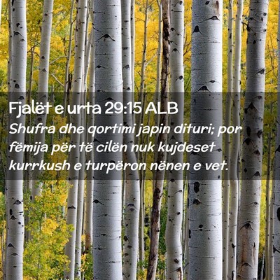 Picture 02 - Fjalët e urta 29:15 ALB - Shufra dhe qortimi japin dituri; por fëmija për - Bible Verse Picture