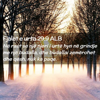 Picture 02 - Fjalët e urta 29:9 ALB - Në rast se një njeri i urtë hyn në grindje me - Bible Verse Picture