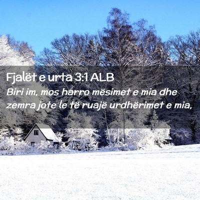 Picture 02 - Fjalët e urta 3:1 ALB - Biri im, mos harro mësimet e mia dhe zemra jote - Bible Verse Picture