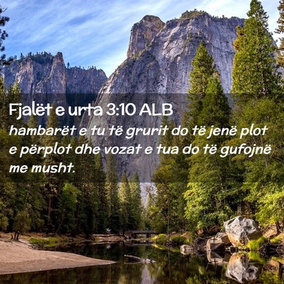 Picture 02 - Fjalët e urta 3:10 ALB - hambarët e tu të grurit do të jenë plot e - Bible Verse Picture