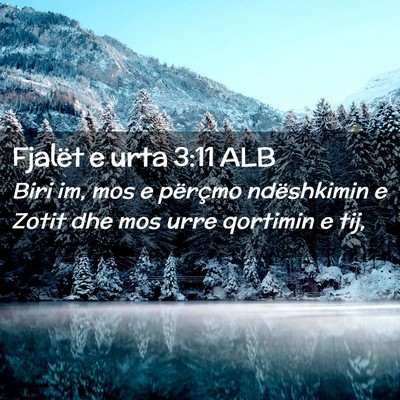 Picture 02 - Fjalët e urta 3:11 ALB - Biri im, mos e përçmo ndëshkimin e Zotit dhe - Bible Verse Picture