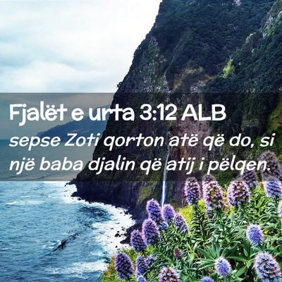 Picture 02 - Fjalët e urta 3:12 ALB - sepse Zoti qorton atë që do, si një baba - Bible Verse Picture