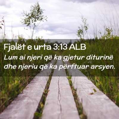 Picture 02 - Fjalët e urta 3:13 ALB - Lum ai njeri që ka gjetur diturinë dhe njeriu - Bible Verse Picture