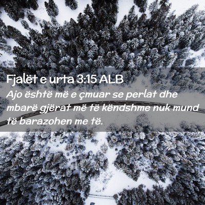 Picture 02 - Fjalët e urta 3:15 ALB - Ajo është më e çmuar se perlat dhe mbarë - Bible Verse Picture