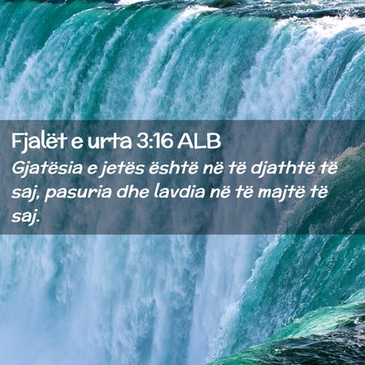 Picture 02 - Fjalët e urta 3:16 ALB - Gjatësia e jetës është në të djathtë të - Bible Verse Picture