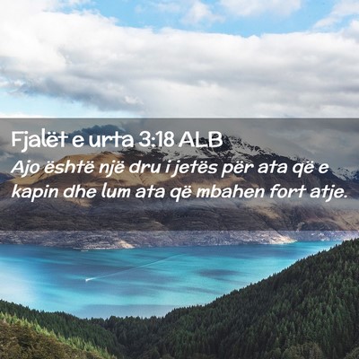 Picture 02 - Fjalët e urta 3:18 ALB - Ajo është një dru i jetës për ata që e - Bible Verse Picture