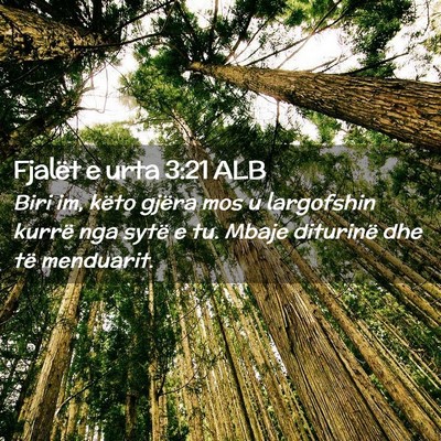 Picture 02 - Fjalët e urta 3:21 ALB - Biri im, këto gjëra mos u largofshin kurrë nga - Bible Verse Picture