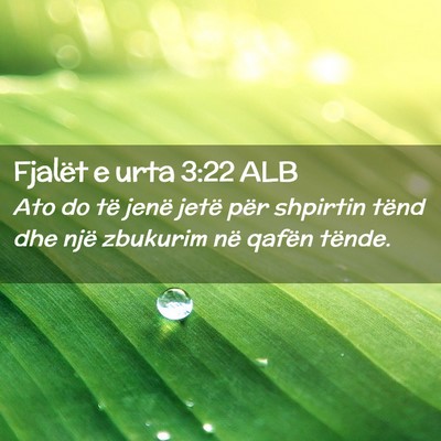 Picture 02 - Fjalët e urta 3:22 ALB - Ato do të jenë jetë për shpirtin tënd dhe - Bible Verse Picture