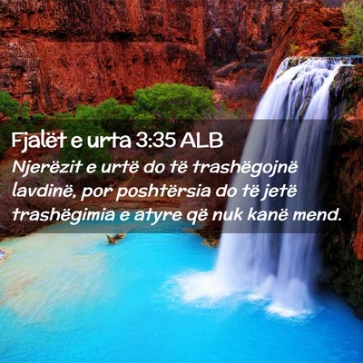 Picture 02 - Fjalët e urta 3:35 ALB - Njerëzit e urtë do të trashëgojnë lavdinë, - Bible Verse Picture