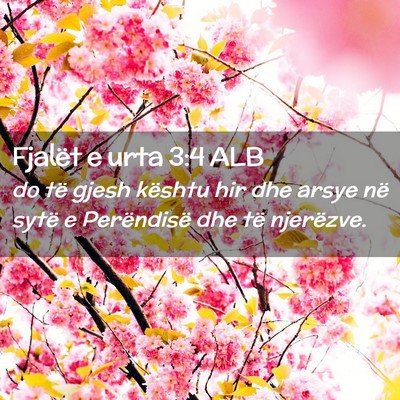 Picture 02 - Fjalët e urta 3:4 ALB - do të gjesh kështu hir dhe arsye në sytë e - Bible Verse Picture