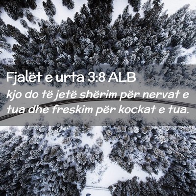 Picture 02 - Fjalët e urta 3:8 ALB - kjo do të jetë shërim për nervat e tua dhe - Bible Verse Picture