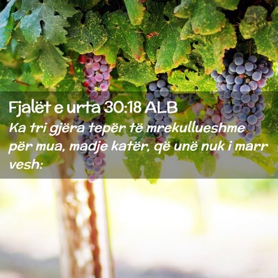 Picture 02 - Fjalët e urta 30:18 ALB - Ka tri gjëra tepër të mrekullueshme për mua, - Bible Verse Picture