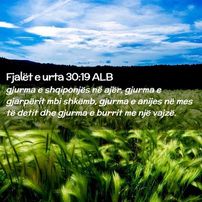 Picture 02 - Fjalët e urta 30:19 ALB - gjurma e shqiponjës në ajër, gjurma e - Bible Verse Picture