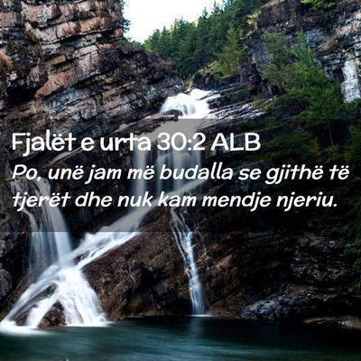 Picture 02 - Fjalët e urta 30:2 ALB - Po, unë jam më budalla se gjithë të tjerët - Bible Verse Picture
