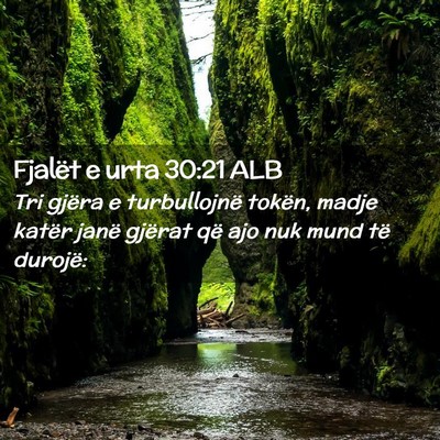 Picture 02 - Fjalët e urta 30:21 ALB - Tri gjëra e turbullojnë tokën, madje katër - Bible Verse Picture
