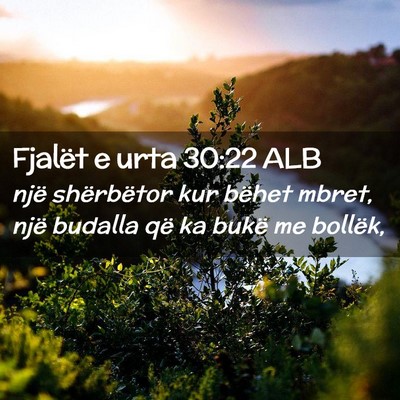 Picture 02 - Fjalët e urta 30:22 ALB - një shërbëtor kur bëhet mbret, një budalla - Bible Verse Picture