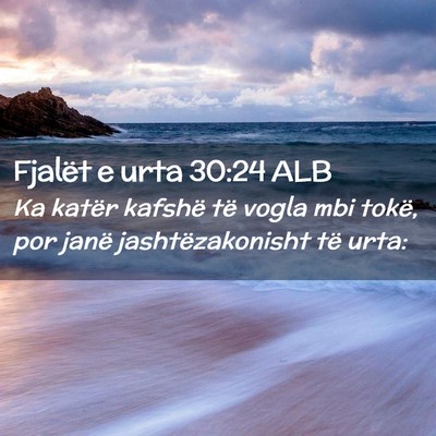 Picture 02 - Fjalët e urta 30:24 ALB - Ka katër kafshë të vogla mbi tokë, por janë - Bible Verse Picture