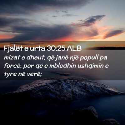 Picture 02 - Fjalët e urta 30:25 ALB - mizat e dheut, që janë një popull pa forcë, - Bible Verse Picture