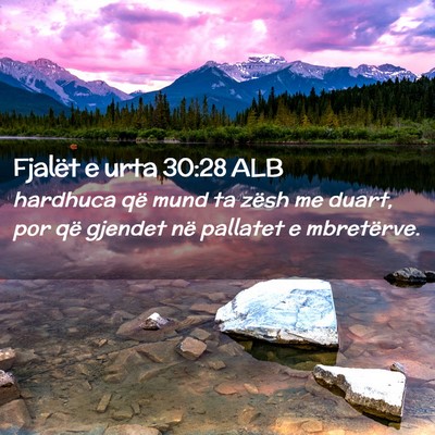 Picture 02 - Fjalët e urta 30:28 ALB - hardhuca që mund ta zësh me duart, por që - Bible Verse Picture