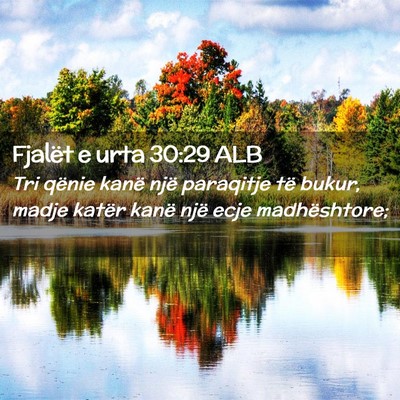 Picture 02 - Fjalët e urta 30:29 ALB - Tri qënie kanë një paraqitje të bukur, madje - Bible Verse Picture