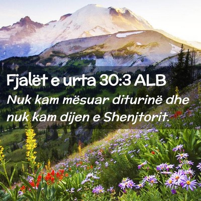 Picture 02 - Fjalët e urta 30:3 ALB - Nuk kam mësuar diturinë dhe nuk kam dijen e - Bible Verse Picture