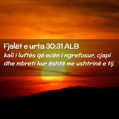 Picture 02 - Fjalët e urta 30:31 ALB - kali i luftës që ecën i ngrefosur, cjapi dhe - Bible Verse Picture