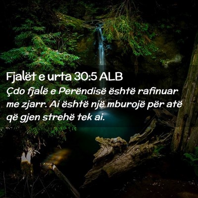Picture 02 - Fjalët e urta 30:5 ALB - Çdo fjalë e Perëndisë është rafinuar me - Bible Verse Picture