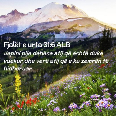Picture 02 - Fjalët e urta 31:6 ALB - Jepini pije dehëse atij që është duke vdekur - Bible Verse Picture