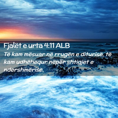 Picture 02 - Fjalët e urta 4:11 ALB - Të kam mësuar në rrugën e diturisë, të kam - Bible Verse Picture