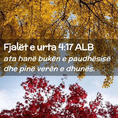 Picture 02 - Fjalët e urta 4:17 ALB - ata hanë bukën e paudhësisë dhe pinë verën - Bible Verse Picture