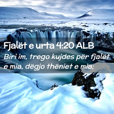 Picture 02 - Fjalët e urta 4:20 ALB - Biri im, trego kujdes për fjalët e mia, dëgjo - Bible Verse Picture