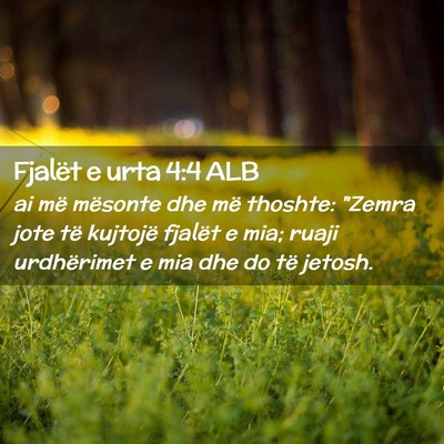 Picture 02 - Fjalët e urta 4:4 ALB - ai më mësonte dhe më thoshte: 