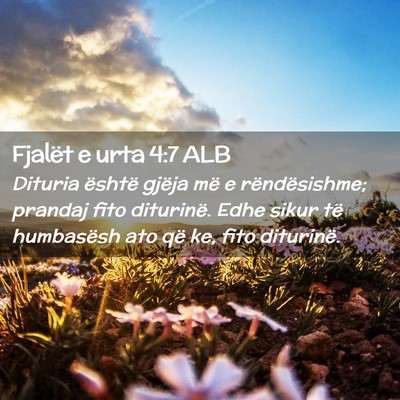 Picture 02 - Fjalët e urta 4:7 ALB - Dituria është gjëja më e rëndësishme; - Bible Verse Picture