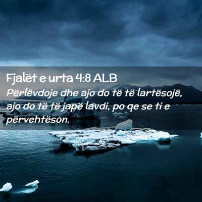 Picture 02 - Fjalët e urta 4:8 ALB - Përlëvdoje dhe ajo do të të lartësojë, ajo - Bible Verse Picture